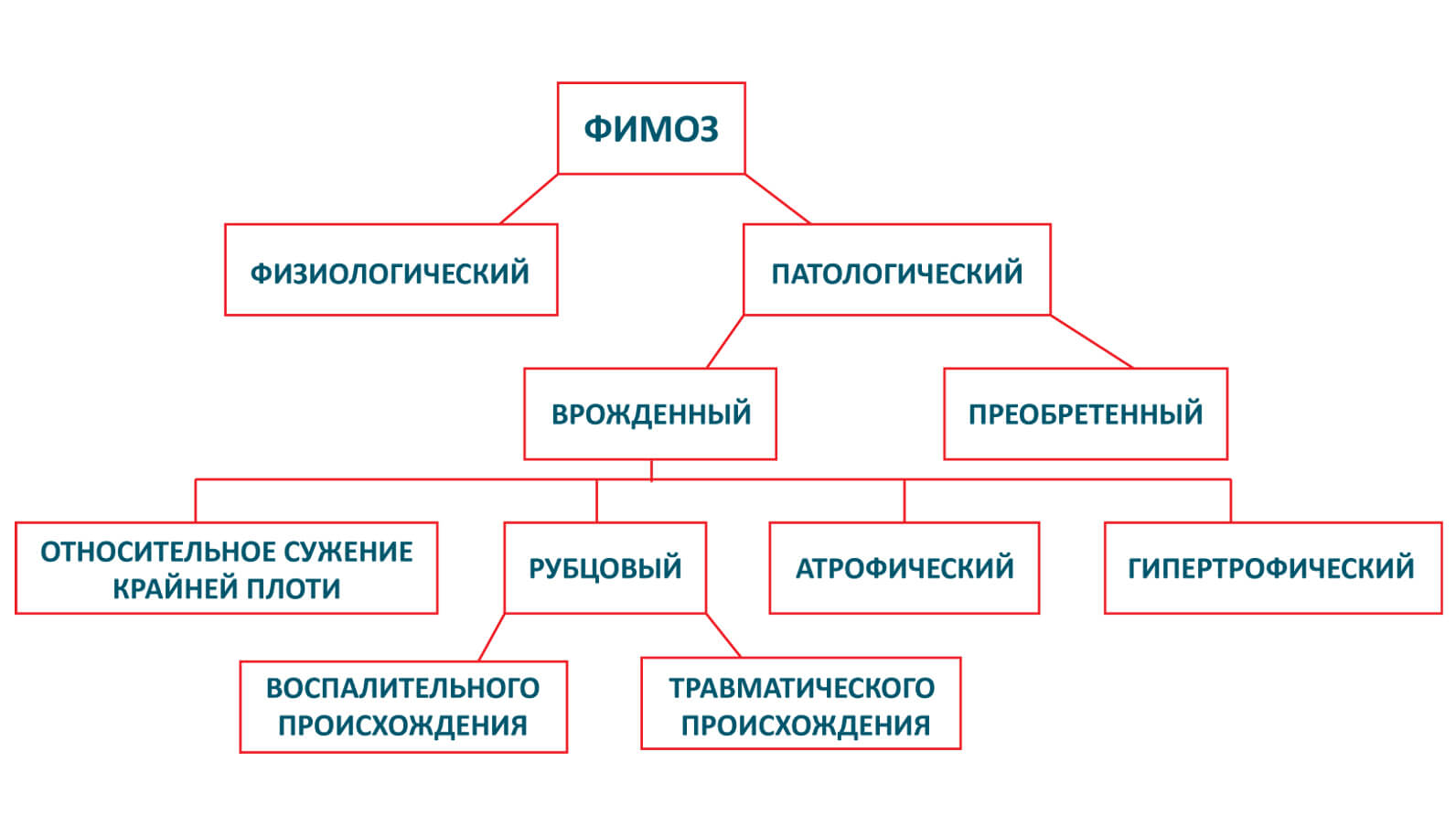 что за болезнь когда не открывается головка члена фото 44